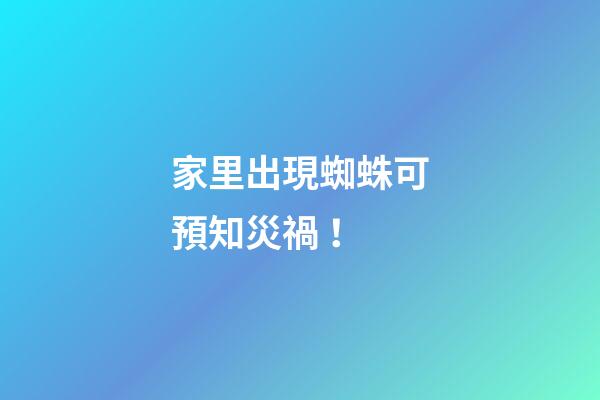 家里出現蜘蛛可預知災禍！